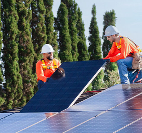 PANELES SOLARES